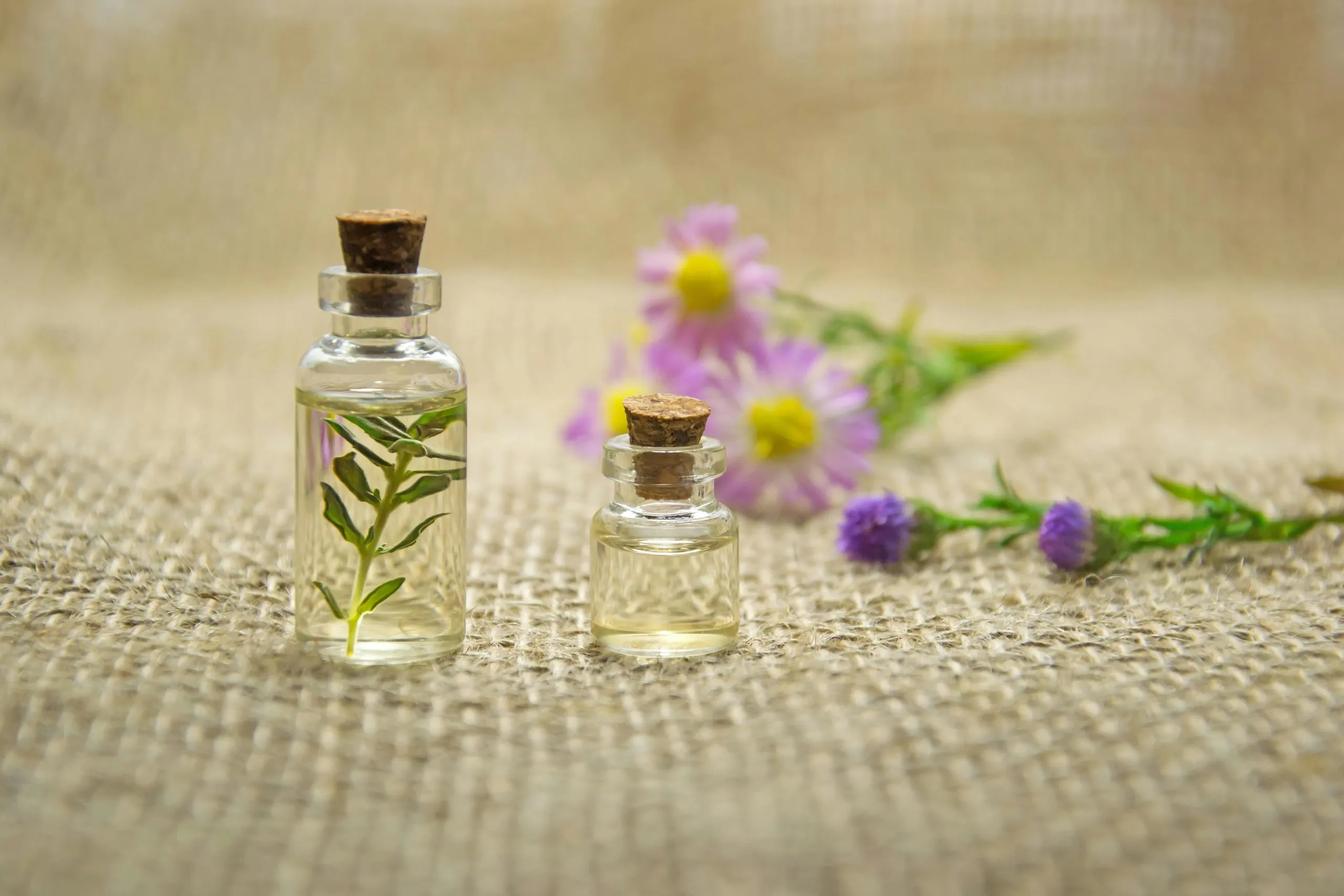 DIY Beauty Treatments Using Edible Ingredients
