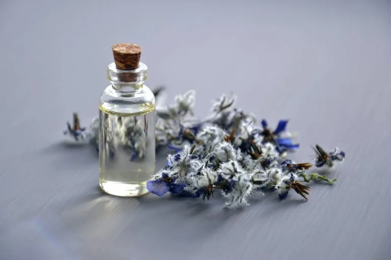 The Art of Scent Memory: Creating Personal Fragrance Journals
