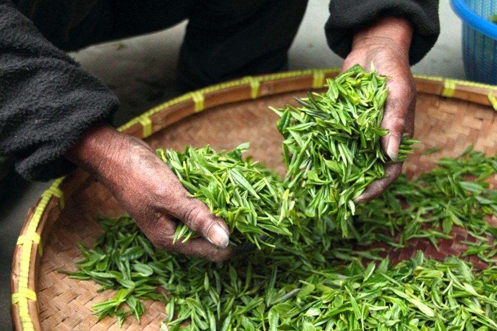 Ways To Use Green Tea To Depuff Your Eyes