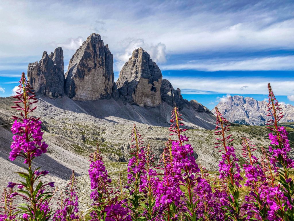 Connection Between Beauty and Environmental Conservation