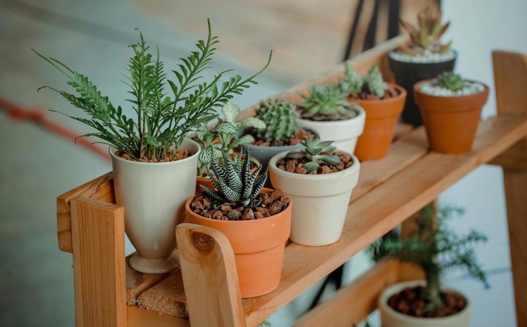 Makeup Tips for Outdoor Enthusiasts and Hikers