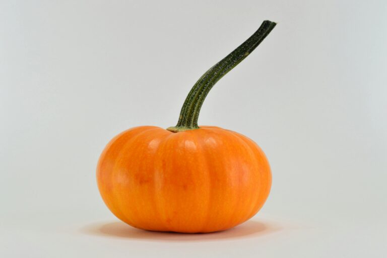 Benefits of Using Pumpkin Enzyme for Exfoliation and Brightening