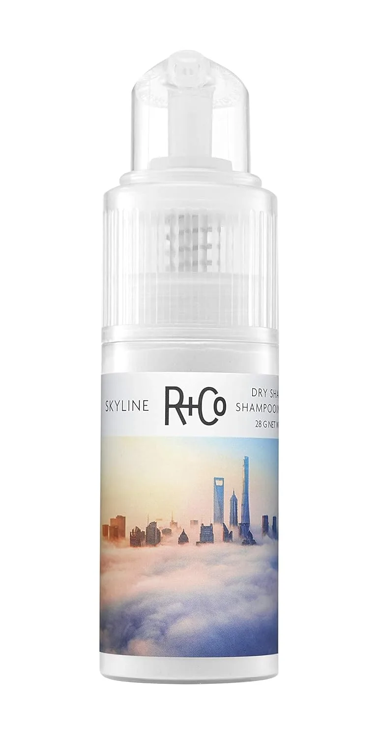 Best Dry Shampoos for Volume