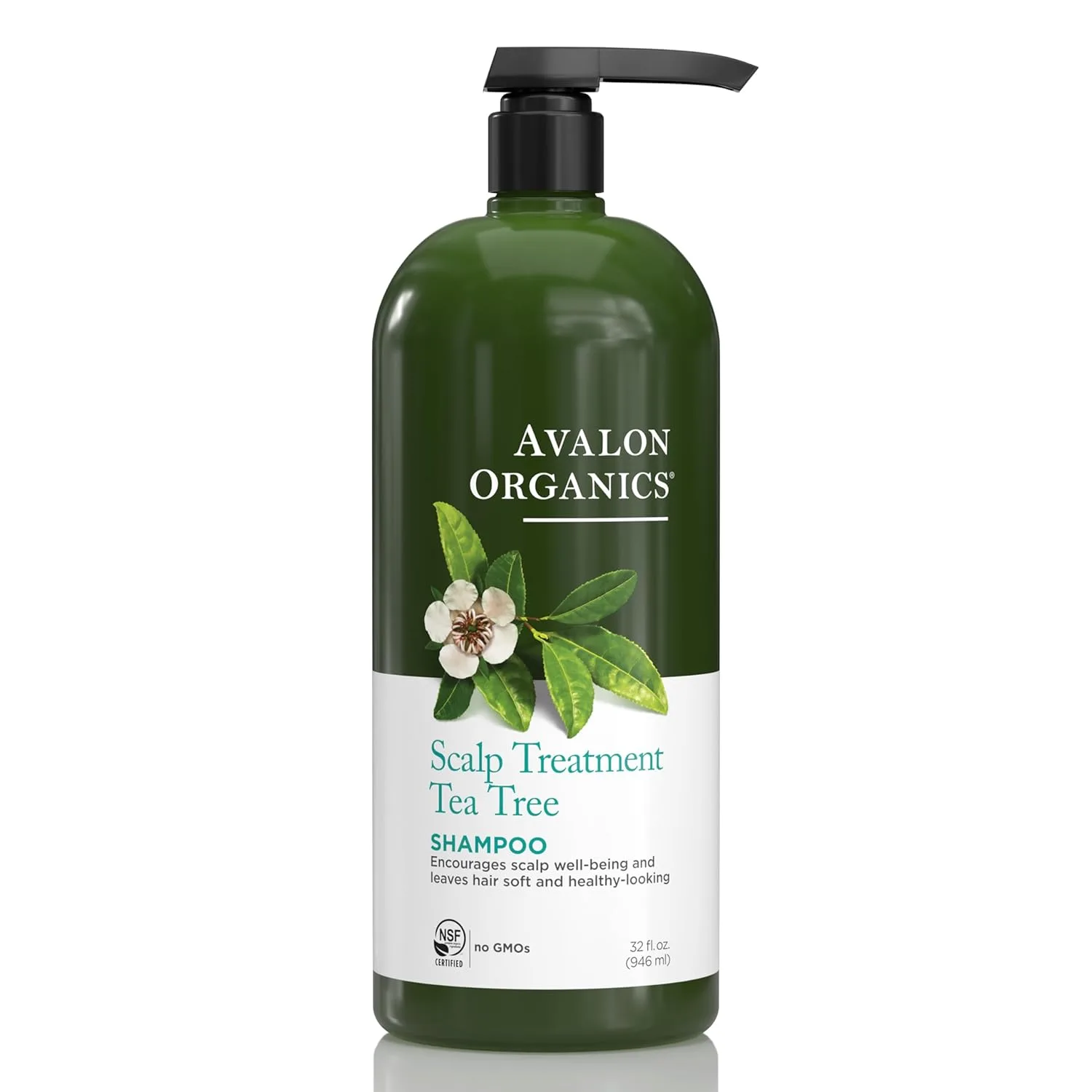 Best Conditioners for Scalp Health Best Conditioners for Scalp Health